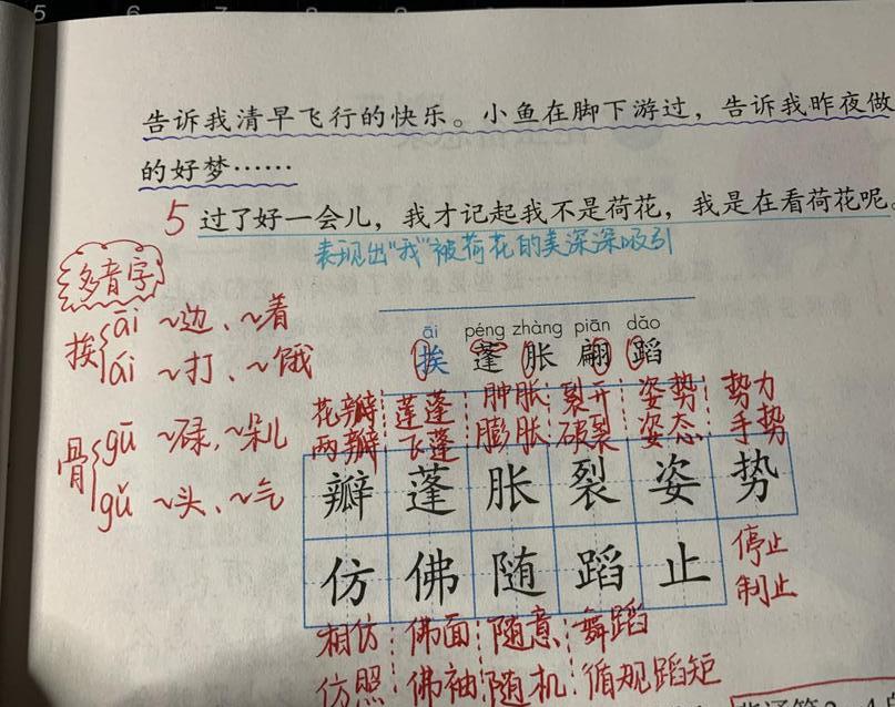 多音字差，语言魅力与挑战