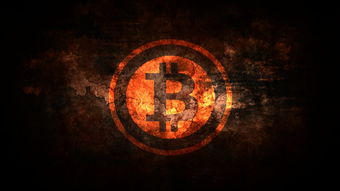 特朗普对等关税策略，亿万富豪的财富之殇
