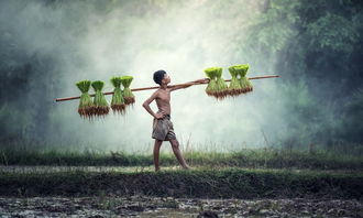 揭秘古代中国，多少人知晓地球是圆的？